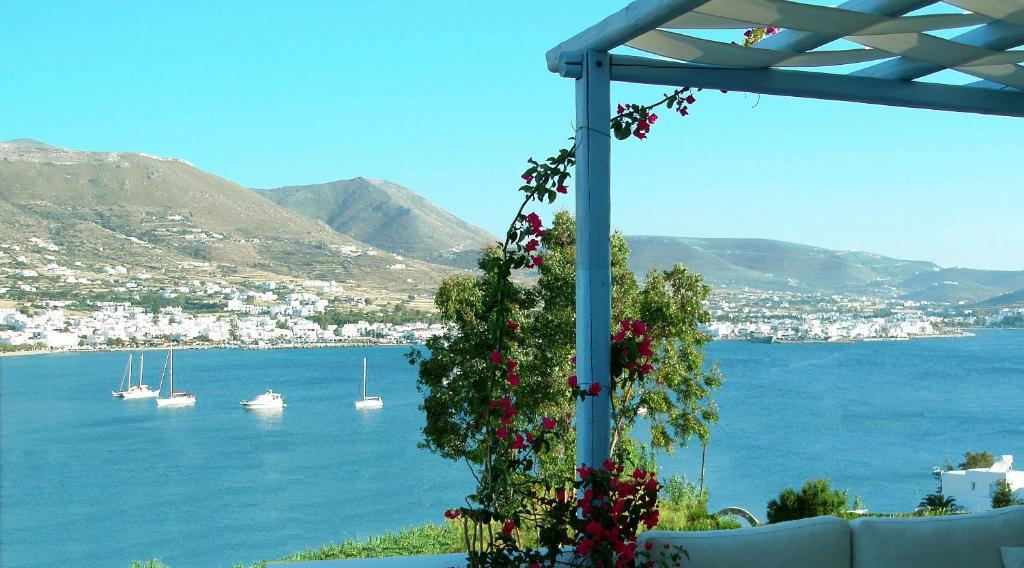 Paros Paradise Apartments חדר תמונה