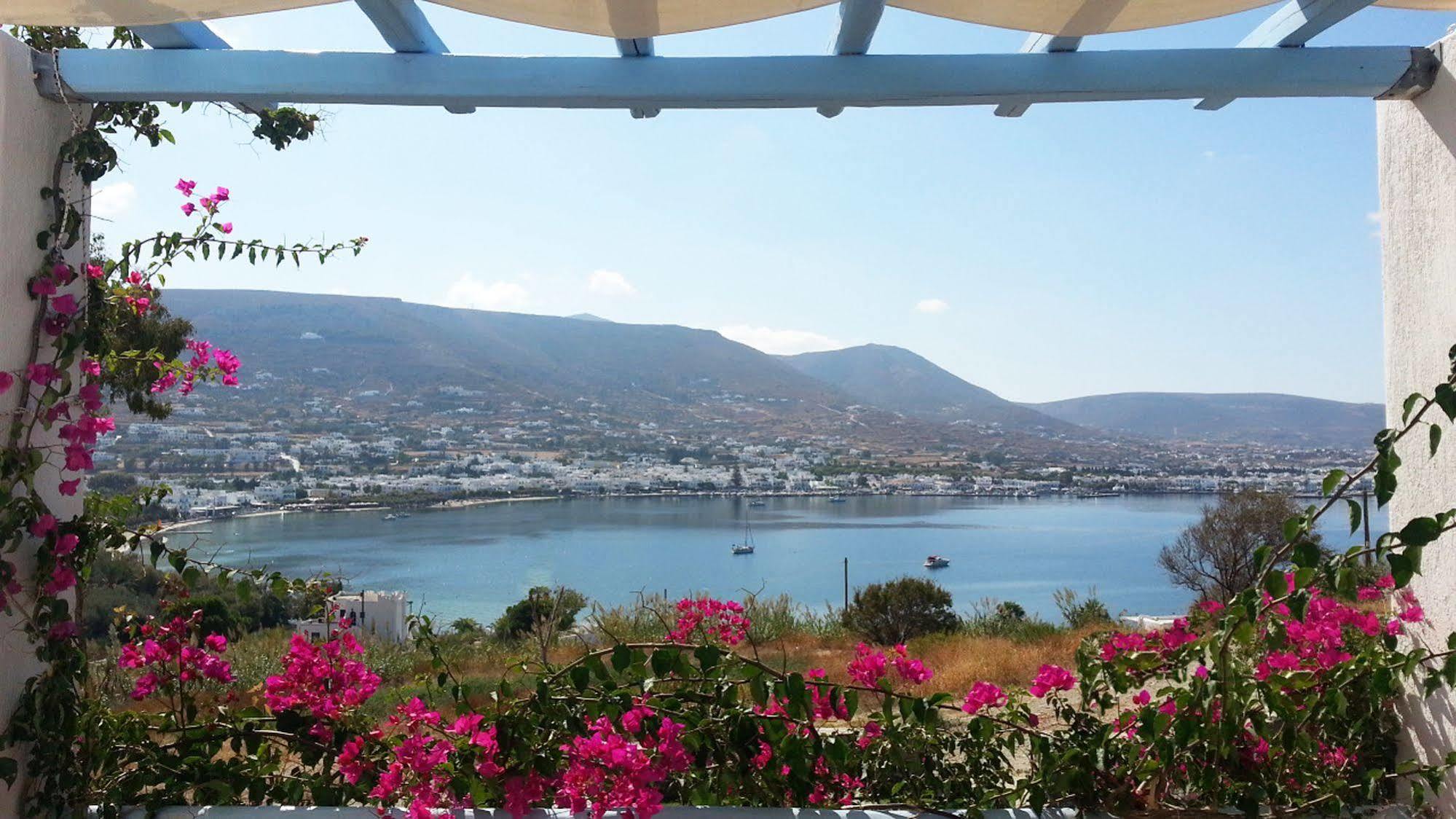 Paros Paradise Apartments מראה חיצוני תמונה